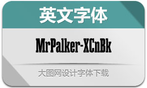 MrPalker-XCnBk(Ӣ)