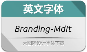 Branding-MediumItalic(Ӣ)
