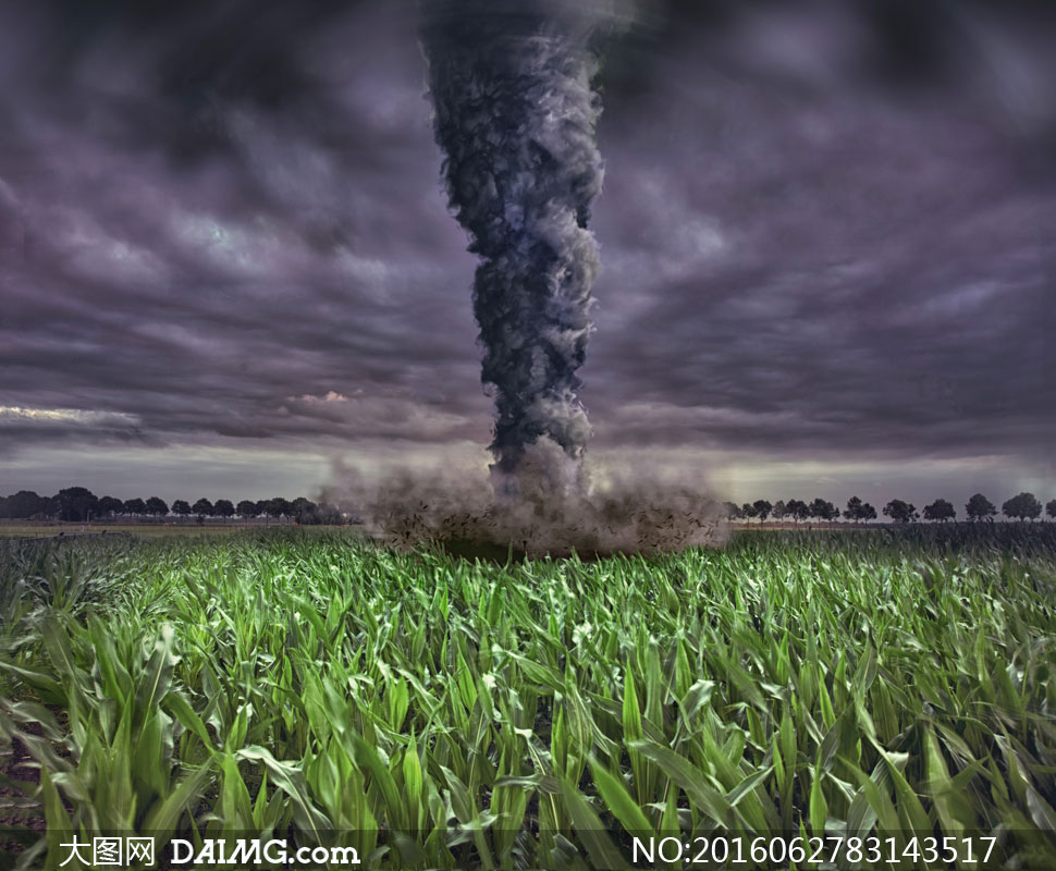 正在袭击农田的龙卷风摄影高清图片 - 大图网设计素材下载