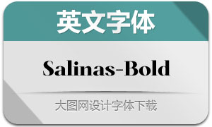 Salinas-Bold(Ӣ)