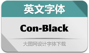 Conglomerate-Black(Ӣ)
