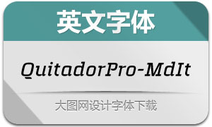 QuitadorPro-MediumItalic()