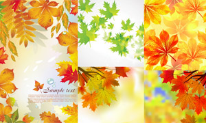 秋天泛黃樹葉背景主題矢量素材集V3