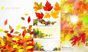 秋天泛黃樹葉背景主題矢量素材集V5