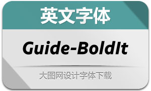 Guide-BoldItalic(Ӣ)