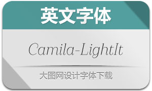 Camila-LightIt(Ӣ)