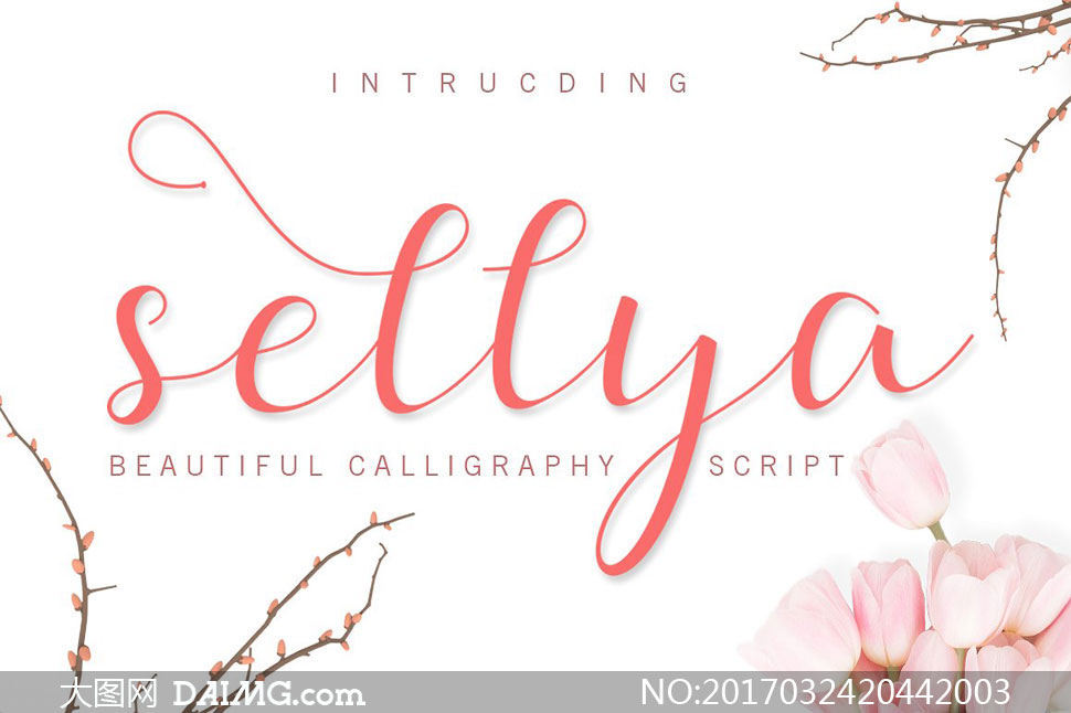 SellyaScript(Ӣ)
