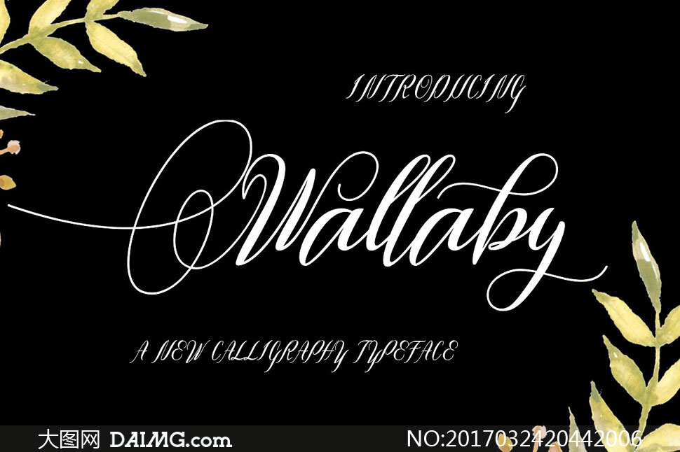 Wallaby(Ӣ)