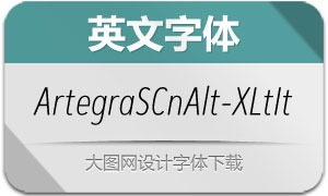ArtegraSansCnAlt-XLtIt(Ӣ)