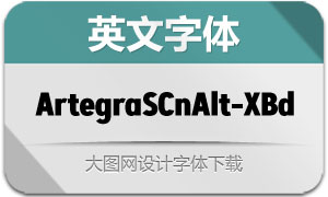 ArtegraSansCnAlt-XBd(Ӣ)