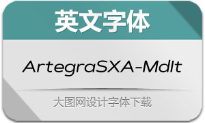 ArtegraSXA-MdIt(Ӣ)
