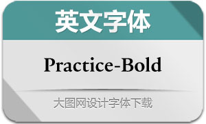 Practice-Bold(Ӣ)