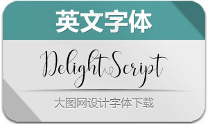 DelightScript(Ӣ)