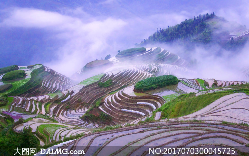 山间美丽梯田鸟瞰图摄影图片