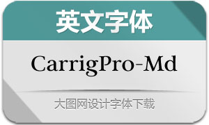 CarrigPro-Medium(Ӣ)