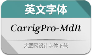 CarrigPro-MediumItalic(Ӣ)
