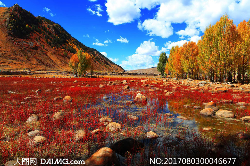秋季山脚美丽的红草地摄影图片
