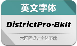 DistrictPro-BlackItalic(Ӣ)