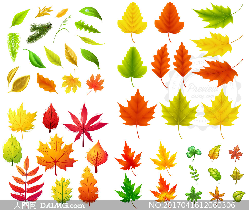 多种颜色形态颜色秋天树叶矢量素材