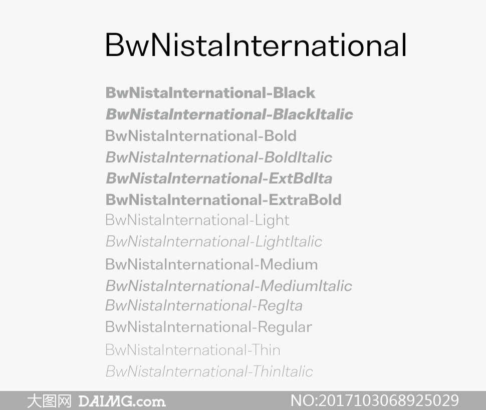 BwNistaInternationalϵӢ