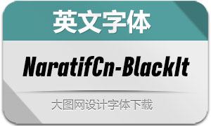 NaratifCond-BlackItalic(Ӣ)