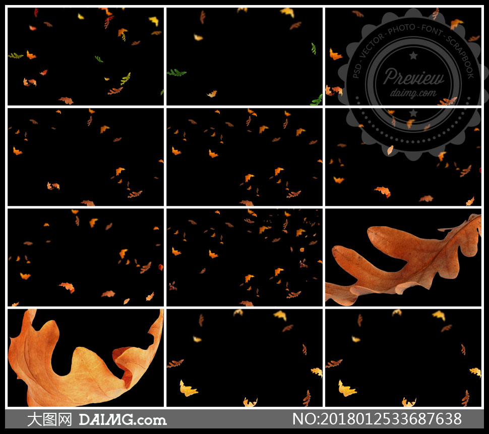 在秋天飘落的树叶高光装饰高清图片
