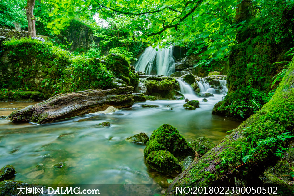 林中小溪流水美景摄影图片