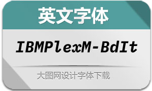 IBMPlexMono-BoldItalic(Ӣ)