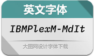 IBMPlexMono-MediumIt(Ӣ)