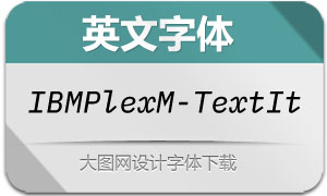 IBMPlexMono-TextItalic(Ӣ)