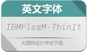 IBMPlexMono-ThinItalic(Ӣ)