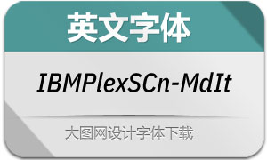 IBMPlexSansCn-MdIt(Ӣ)