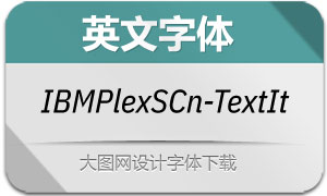 IBMPlexSansCn-TextIt(Ӣ)