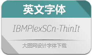 IBMPlexSansCn-ThinIt(Ӣ)