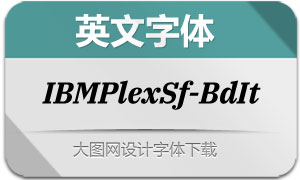 IBMPlexSerif-BoldItalic(Ӣ)