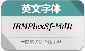 IBMPlexSerif-MediumIt(Ӣ)