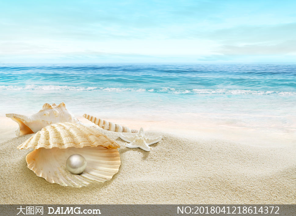 珍珠贝壳与辽阔的大海摄影高清图片