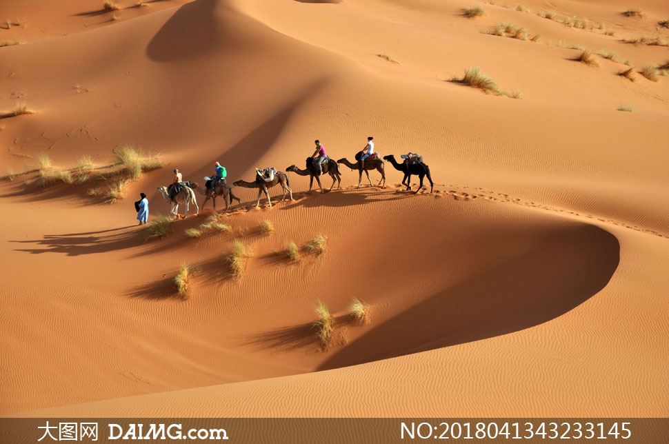 沙漠中骑着骆驼的游客摄影高清图片
