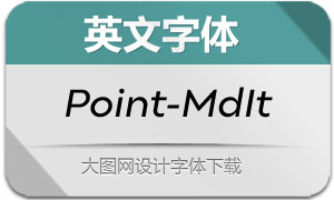 Point-MediumItalic(Ӣ)