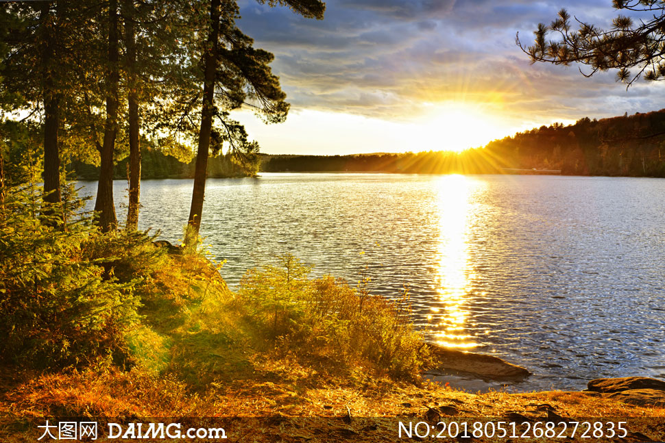 早晨曙光中的湖泊美景摄影高清图片