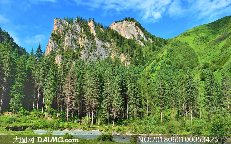 碧绿的山林美景摄影图片
