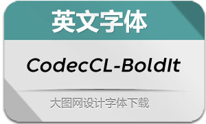 CodecColdLogo-BoldIt(Ӣ)