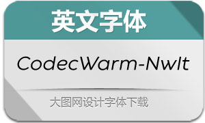 CodecWarm-NewsIt(Ӣ)