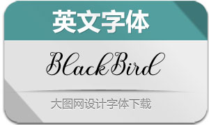 BlackBird(Ӣ)