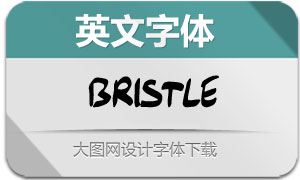 Bristle(Ӣ)