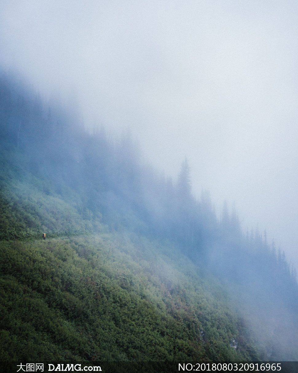 浓雾笼罩着的山坡风景摄影高清图片