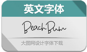 BeachBum(Ӣ)