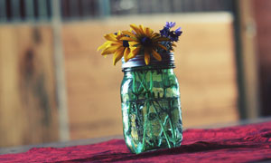 玻璃瓶里鮮艷花朵特寫攝影高清圖片