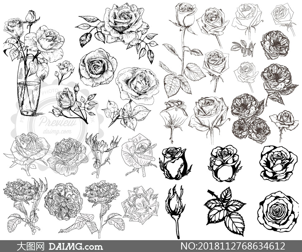 黑白线描风玫瑰花创意设计矢量素材