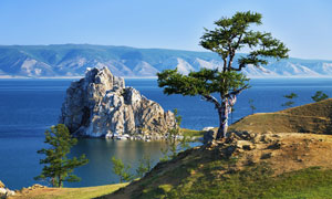 大海山巒大樹自然風景攝影高清圖片